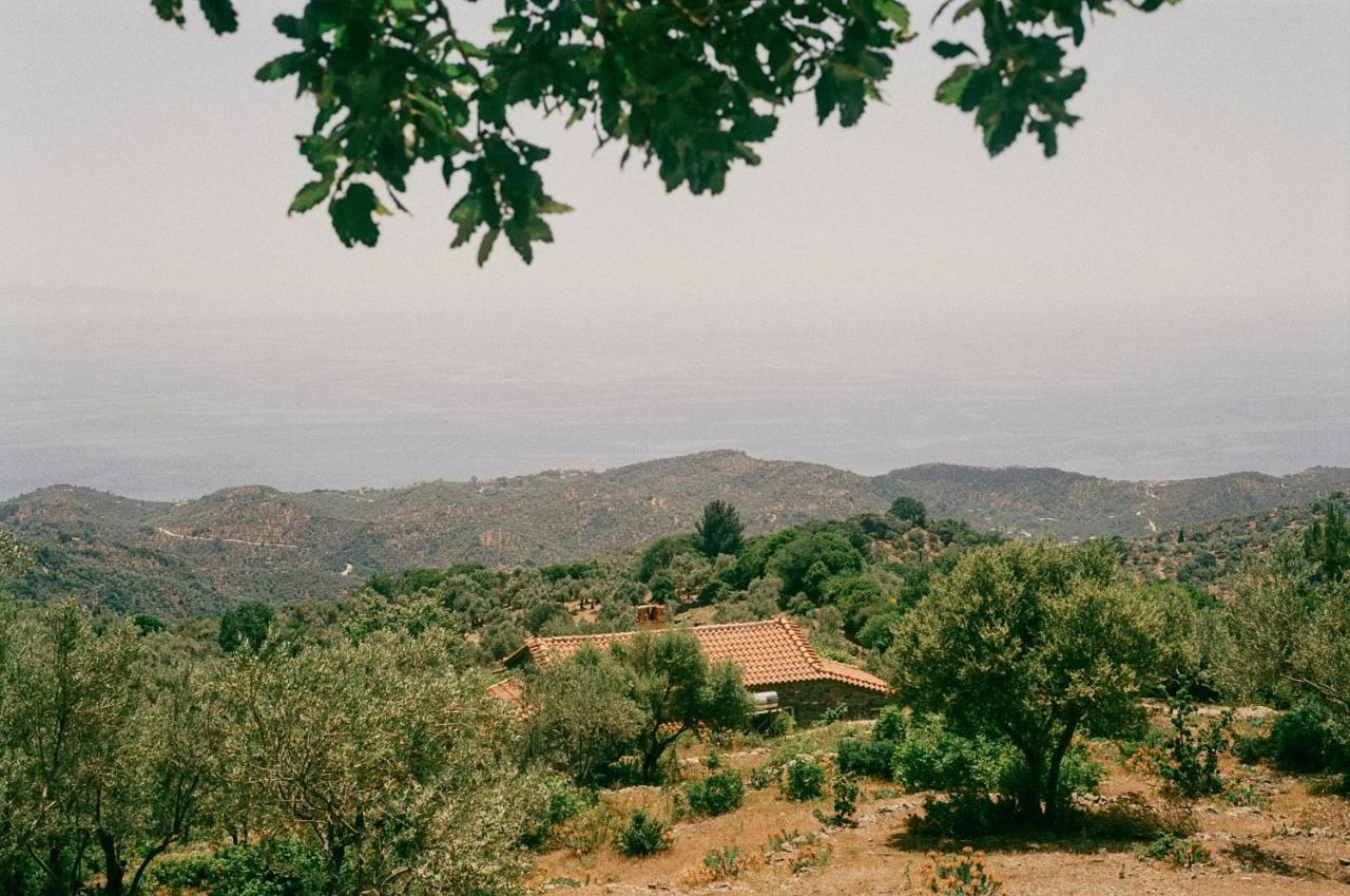 Toumba Eco Farm Guesthouses Plomari Exterior photo